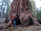 Ich und Sabine beim General Grant Tree im Kings Canyon National Park (30. Mai)