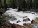 Bridalveil Creek im Yosemite National Park (31. Mai)