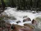 Bridalveil Creek im Yosemite National Park (31. Mai)