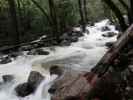 Bridalveil Creek im Yosemite National Park (31. Mai)