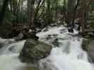 Bridalveil Creek im Yosemite National Park (31. Mai)