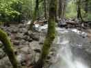 Bridalveil Creek im Yosemite National Park (31. Mai)