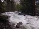 Yosemite Creek im Yosemite National Park (31. Mai)