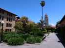 Stanford University (1. Juni)