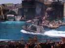 Water World Show in den Universal Studios Hollywood (7. Juni)