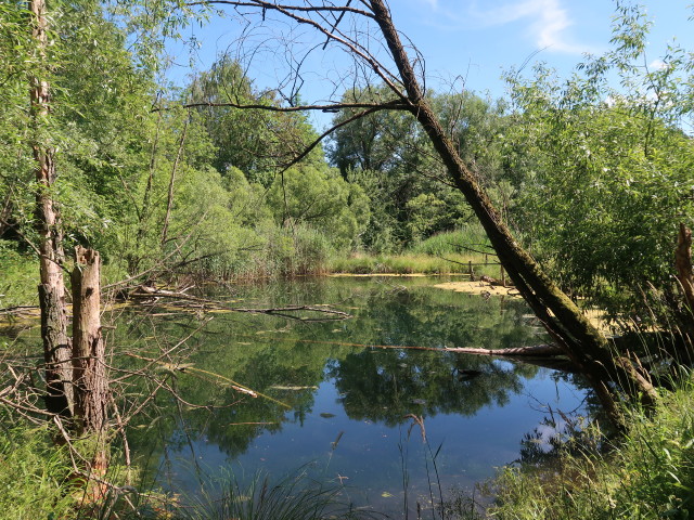 Steinschaler Naturgärten