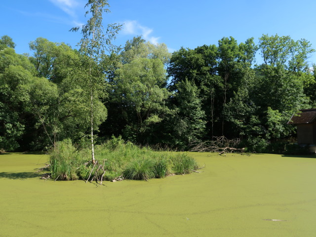 Steinschaler Naturgärten