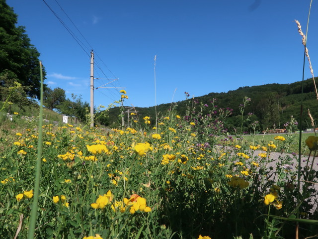 zwischen Mainburg und Hofstetten-Grünau