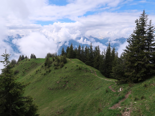 zwischen Hochgerach und Goppes (23. Juni)