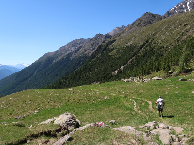 Erich am Weg 914 zwischen Hochschoberhütte und Beliz (29. Juni)