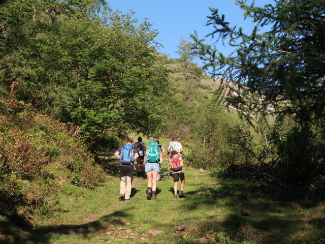 Werner, Ursa, Evelyn, Erich und Moritz zwischen Pedretscherkaser und Gampenkaser