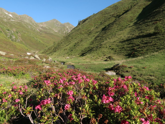 zwischen Gampenkaser und Brunnalm