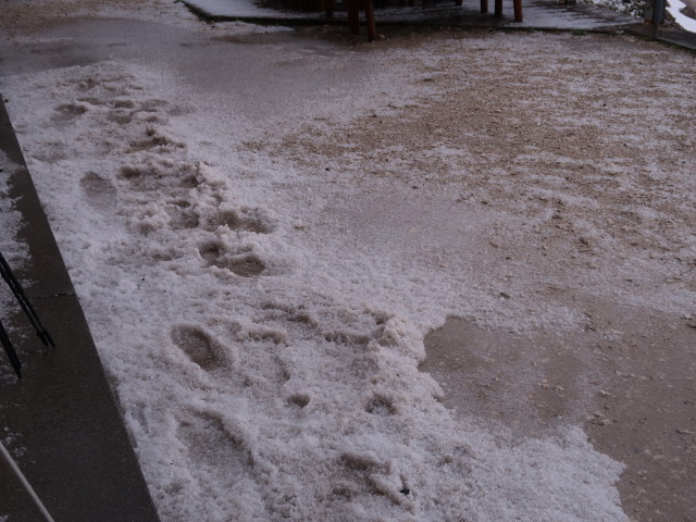 beim Rifugio Fratelli Fonda Savio, 2.367 m