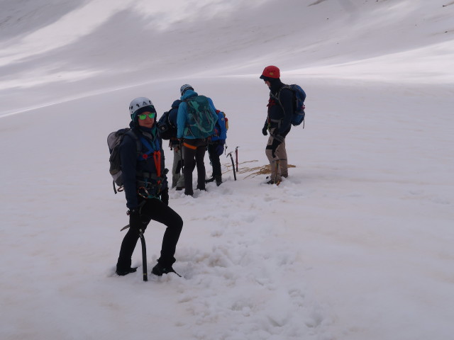 Ursa, Philipp, Evelyn, Moritz und Werner am Nördlichen Bockkarkees