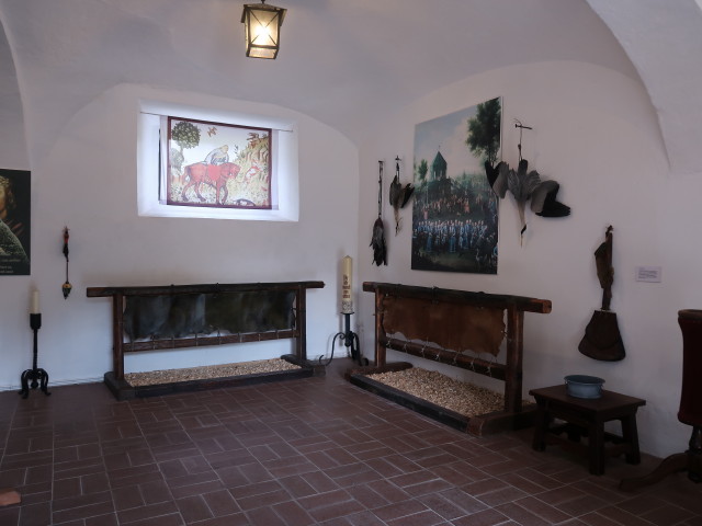 Falknereimuseum im Schloss Waldreichs (14. Juli)