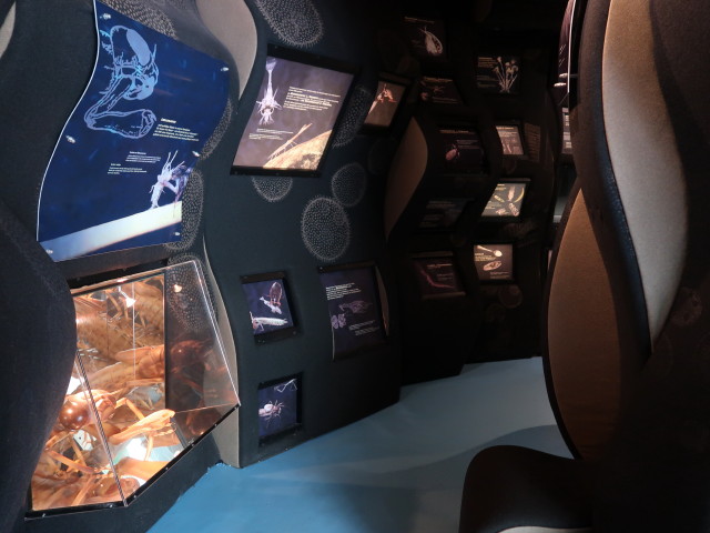 UnterWasserReich: Ausstellung 'Mikrokosmos'