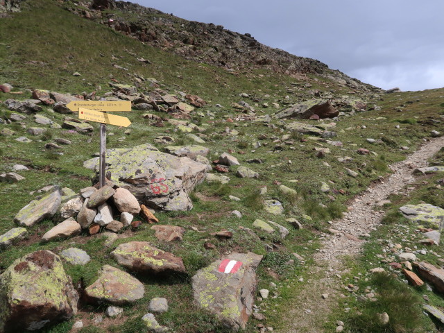 zwischen Deloretteweg und Mittlerer Guslarspitze (17. Aug.)