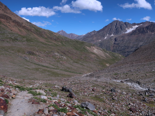 zwischen Vernagthütte und Vernagtbach (18. Aug.)