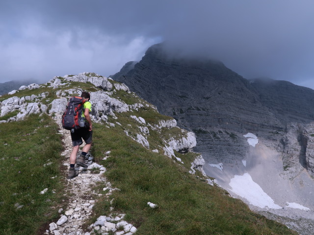 Ronald am Weg 220 zwischen Bergstation der Frauenkarbahn und Widerlechnerstein (24. Aug.)