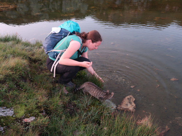 Sabine zwischen Oberhüttensattel und Seekarscharte (1. Sep.)