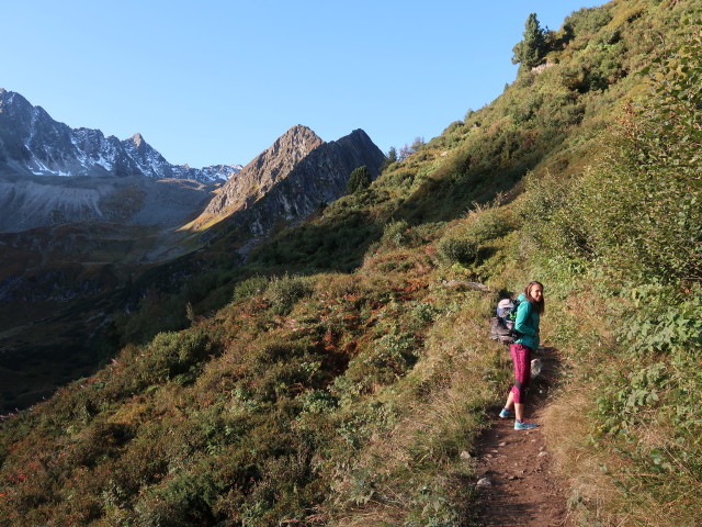 Ursa am Weg 131 zwischen Oberisshütte und Alpeiner Alm (21. Sep.)