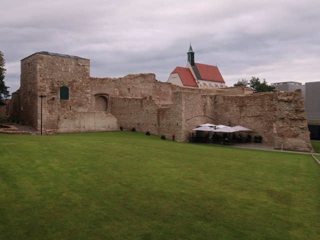 Kasematten in Wiener Neustadt