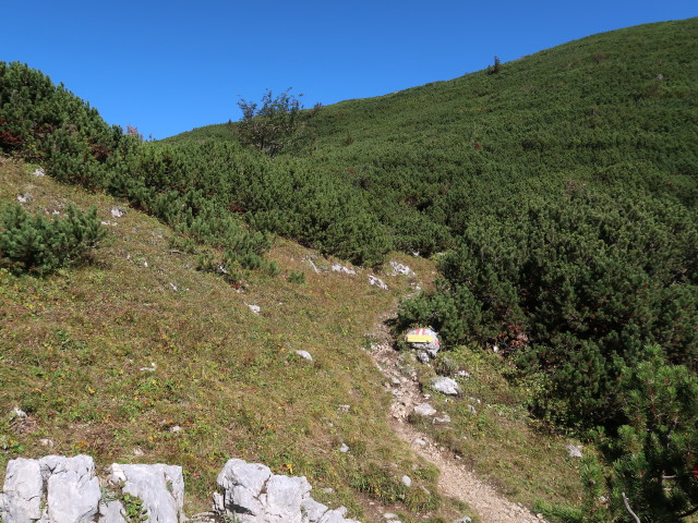 zwischen Alberfeldkogel und Höllkogelgrube