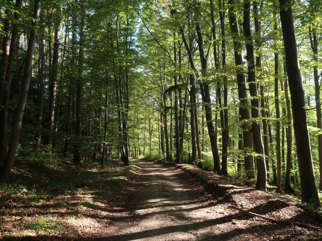 zwischen Gespitzter Riegel und Aussichtsturm Rosalia