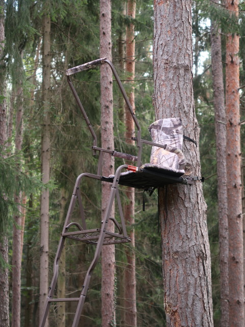 zwischen Aussichtsturm Rosalia und Süßenbrunner Graben
