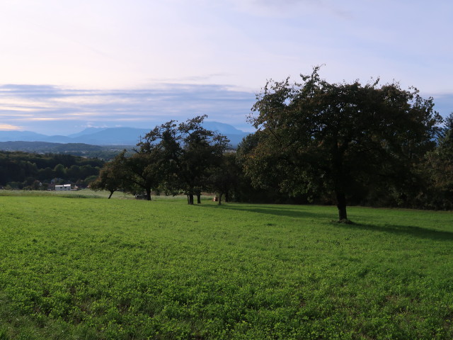zwischen Süßenbrunner Graben und Ofenbach