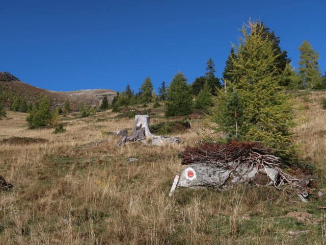 zwischen Bartlbauerhütte und Bartlmann