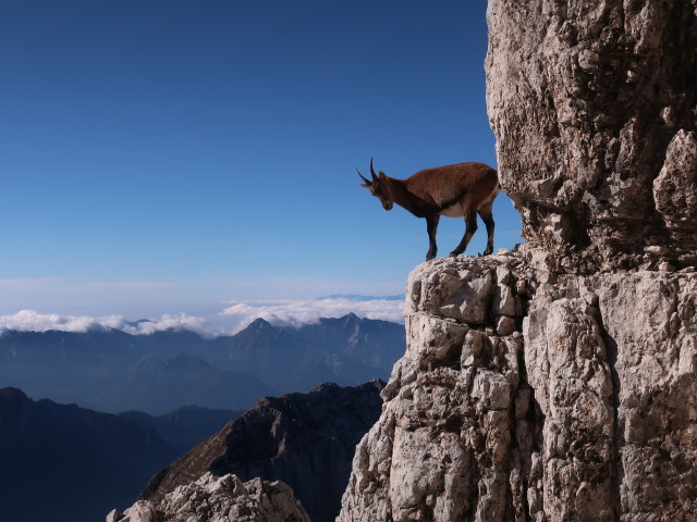 neben der Via Ferrata Scala A. Pipan (12. Okt.)