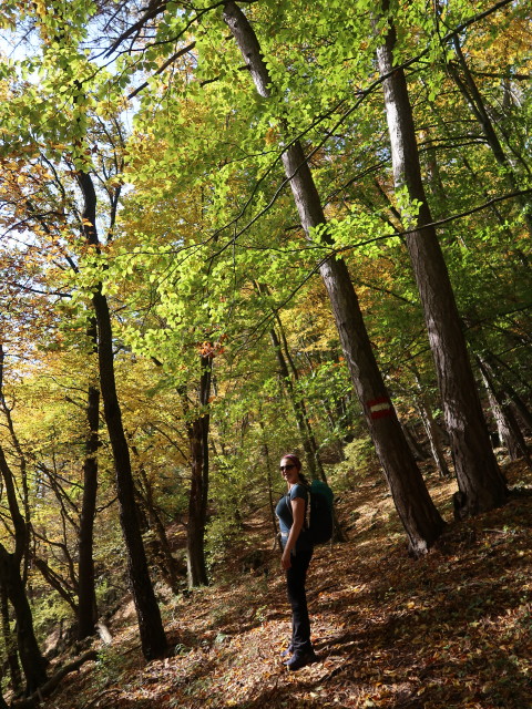 Sabine zwischen Reichental und Hoher Mandling