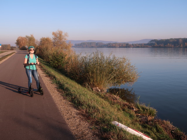 Sabine zwischen Kraftwerk Greifenstein und Tulln