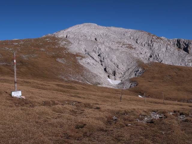 zwischen Hochwart und Hirschgrube (27. Okt.)