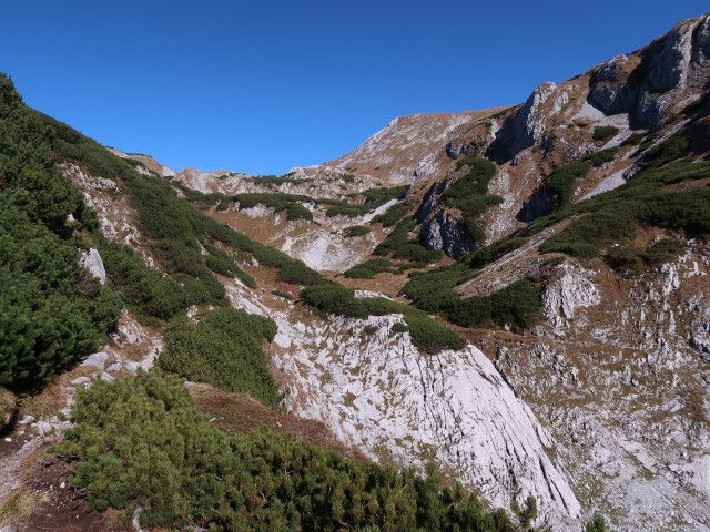 zwischen Hirschgrube und Häuseltrog (27. Okt.)