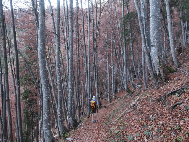 Herbert zwischen Häuselalm und Sackwaldboden (27. Okt.)