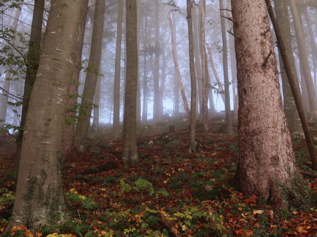 zwischen Prenn und Hochhabichler