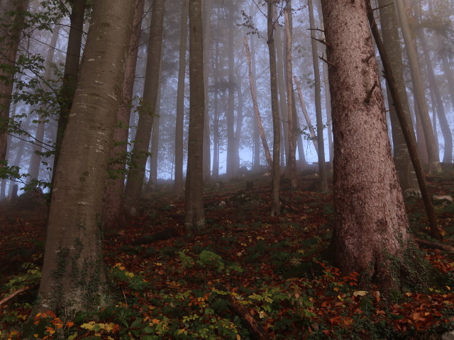 zwischen Prenn und Hochhabichler