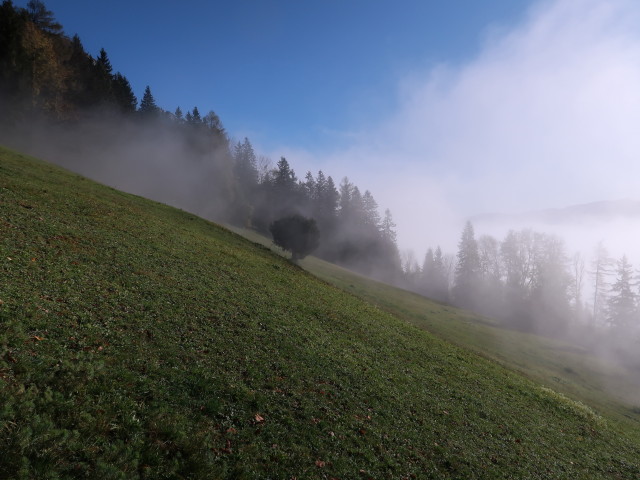 zwischen Hochhabichler und Steinernem Jäger