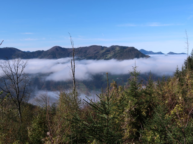 Sonnkogel und Hohe Dirn