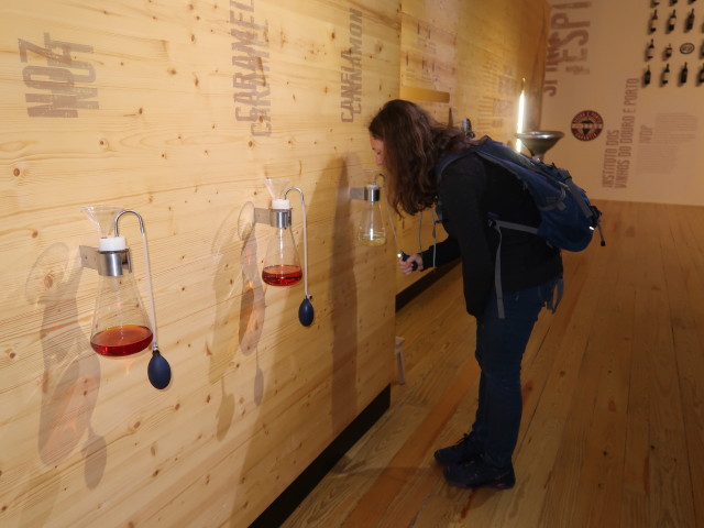 Sabine im Museu do Douro in Régua (19. Nov.)