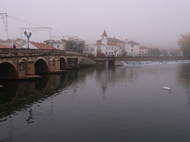 Rio Nabao in Tomar (21. Nov.)