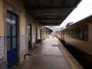 Estacao Ferroviária do Pocinho (19. Nov.)