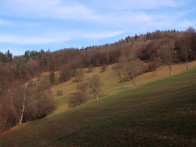 Steinwandleiten