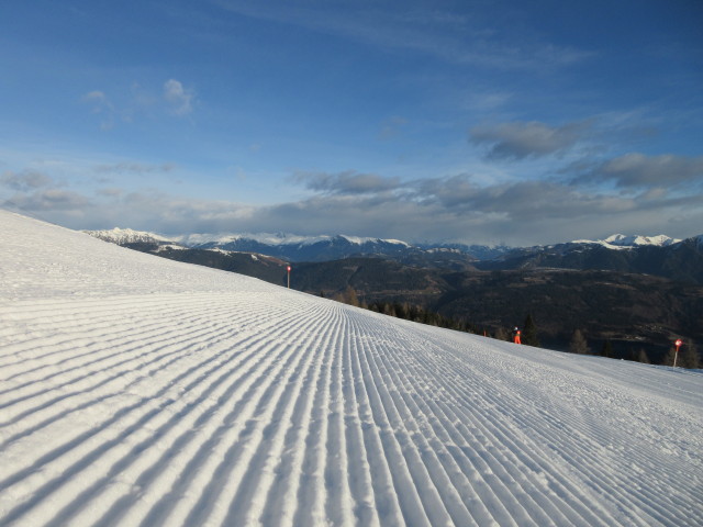 Tressdorfer-Alm-Abfahrt