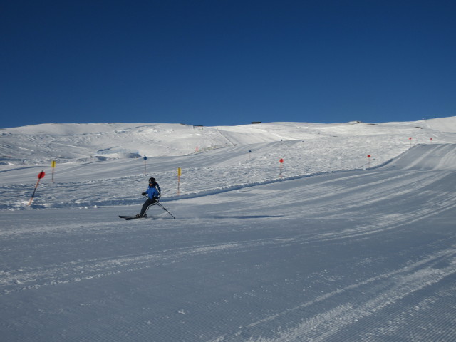 Ursa auf der Braunkogelpiste