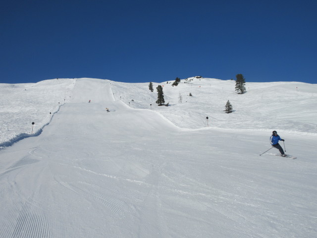 Ursa auf der Braunkogel-Ganzeralm-Piste
