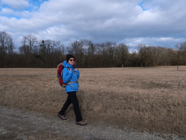 Mama zwischen Marchfelddamm und Mühlhaufen