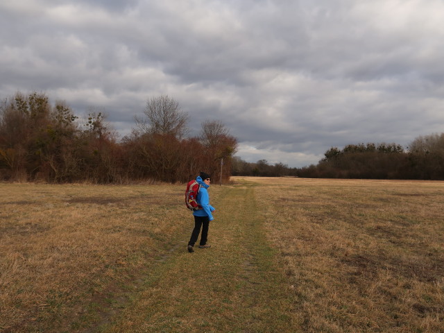 Mama zwischen Donau und Marchfelddamm